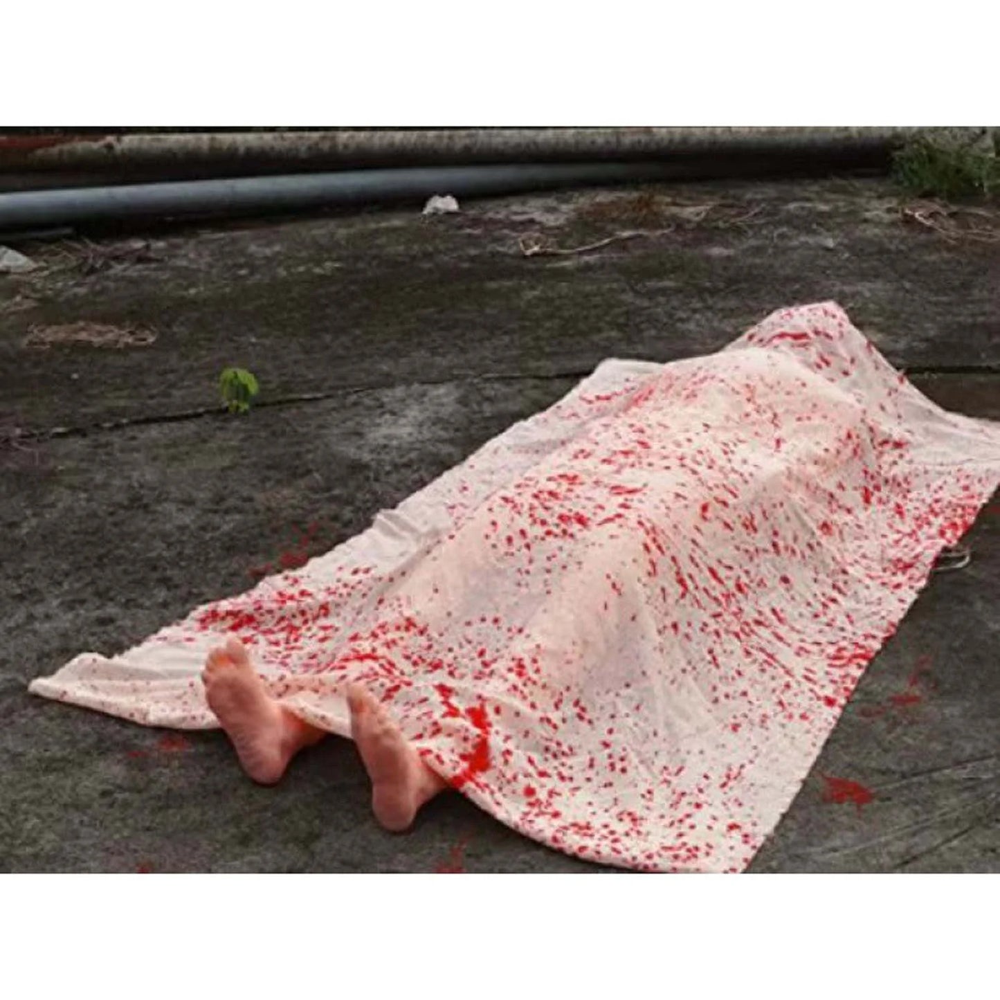 , ations, ations Indoor, Halloween Indoor Decor, Halloween Prop Decor